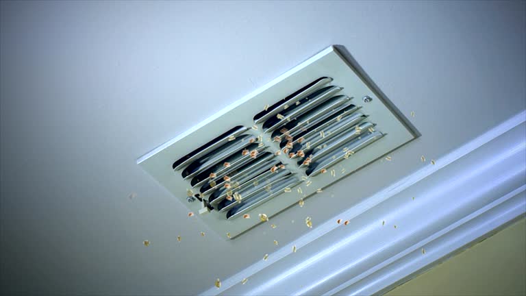Best Home Air Vent Cleaning  in Hooverson Heights, WV